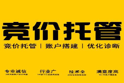 某行业SEM投放效果显著案例分享